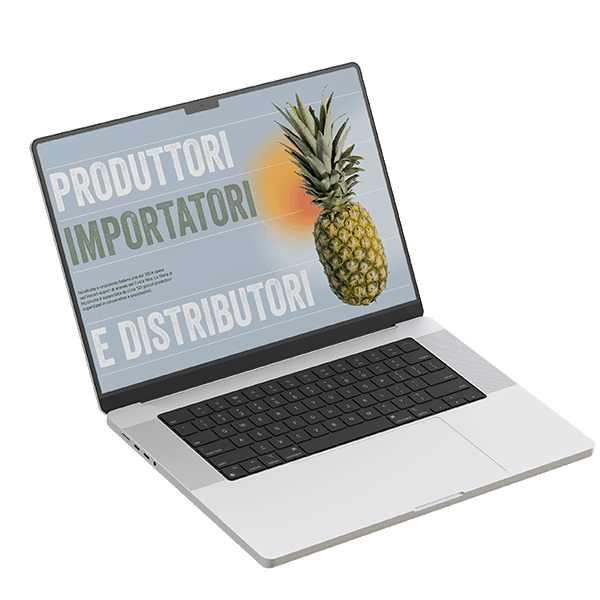 cover image for Esperienze Web service